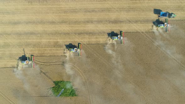 Top Down View of Harvester Machine Working in Wheat Field . Combine Agriculture Machine Harvesting
