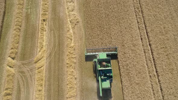 Combine Harvester on Wheat Field