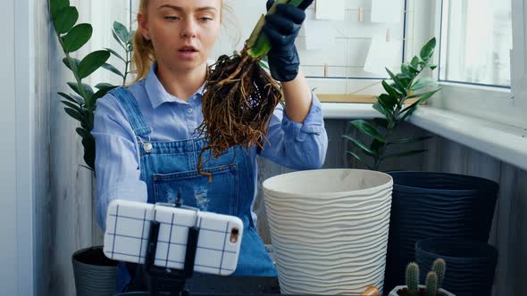 Gardener Woman Blogger Using Phone While Transplants Indoor Plants and Use a Shovel on Table