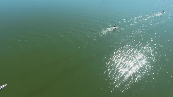 aerial top down of stand up paddle racers compete on shiny surface of dark river