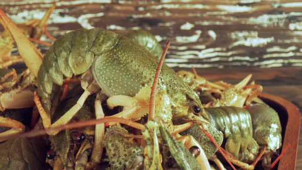 Live Crayfish on a Wooden Table