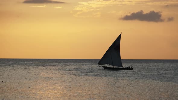 Silhouette of Sailing Boat Dhow Sails at Sunset on the Shore Beach Zanzibar