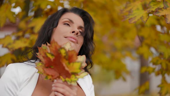 Portrait of Sexy Brunette Woman in Autumn Lady is Holding Yellowed Maple Leaves in Hands