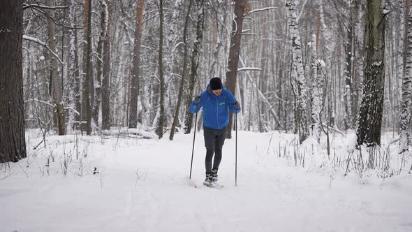 A Young Man Is Engaged in Crosscountry Skiing in the Winter Forest