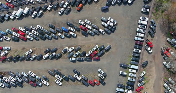 Auction lot on car distributed in rows a used cars terminal parked