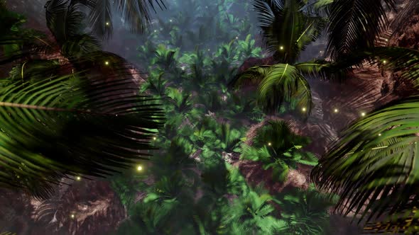 Summer Palm Tree On The Beach 01 HD alt