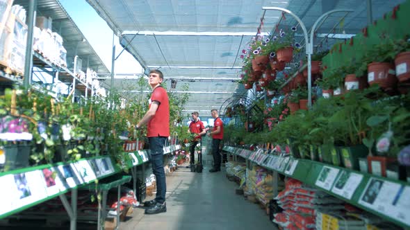 Work of sales assistants in uniform at the mall with houseplants