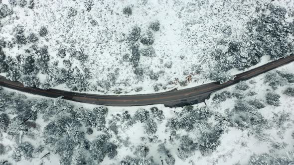 Aerial View Mountain Road Bending Forest