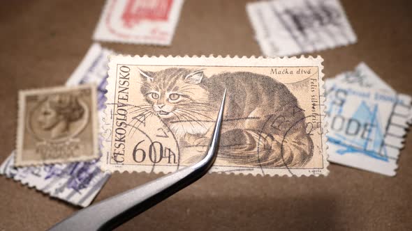 Old Postal Stamps