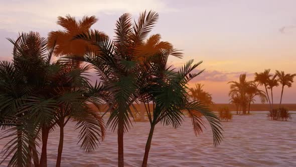 The Paradise Beach Sunset 3