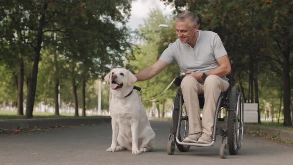 Man in Wheelchair with Dog in Park