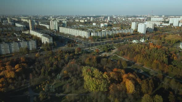 Flight Over The Autumn Park. Trees With Yellow Autumn Leaves Are Visible.