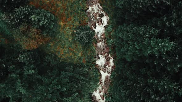 Calming River flowing through a forest 4k Drone