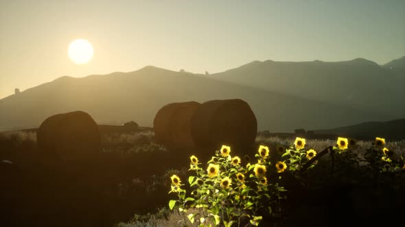 Hay Bales in the Sunset