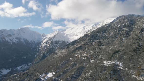 winter snow mountains with trees