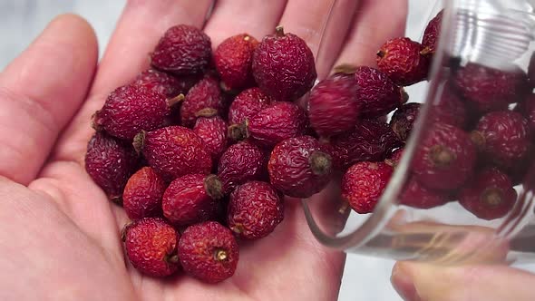 Dried rose hips are poured out of a transparent cup into a hand 