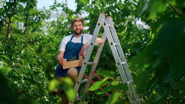 Farmer Holding Cherry Box in Organic Plantation Sunny Day