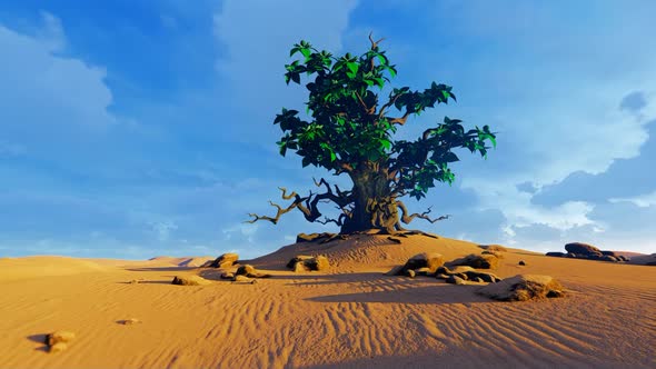 Lonely Tree In The Sands