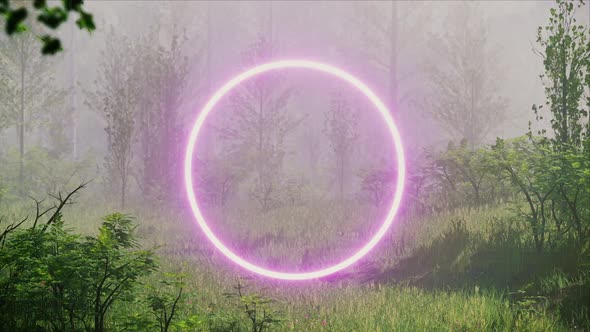 Glowing Neon Pink Circle Light in the Rainy Forest