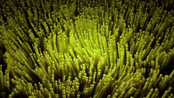 Colored algae moving in waves