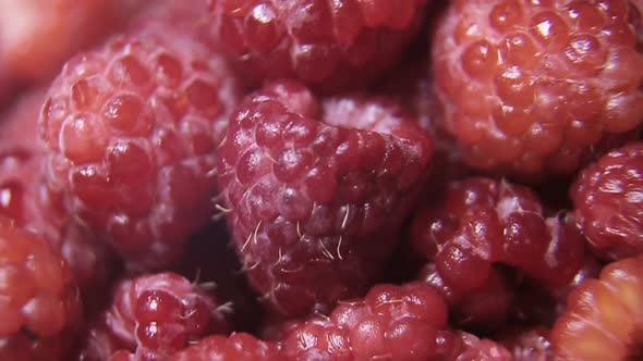 Raspberry fruit background. Close Up of raspberry