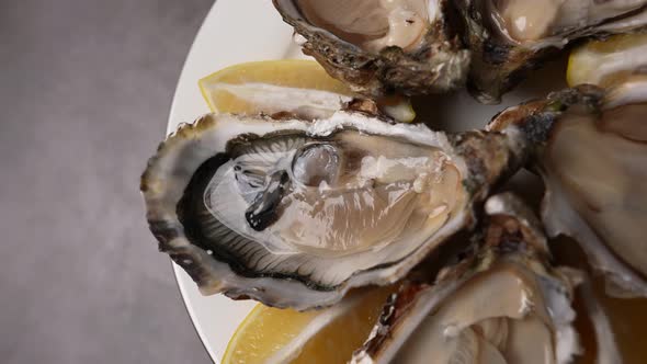 Fresh Oysters 24