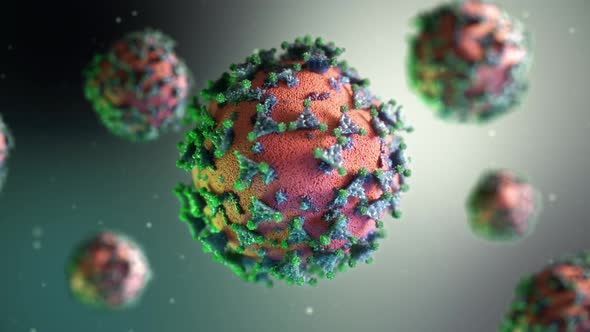 Severe Acute Respiratory Syndrome Coronavirus alt