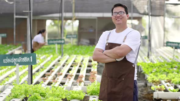 Owner Asian man farmer standing in a hydroponics farm