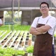 Owner Asian man farmer standing in a hydroponics farm - VideoHive Item for Sale