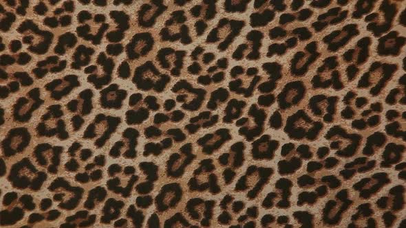 footage of leopard textile background