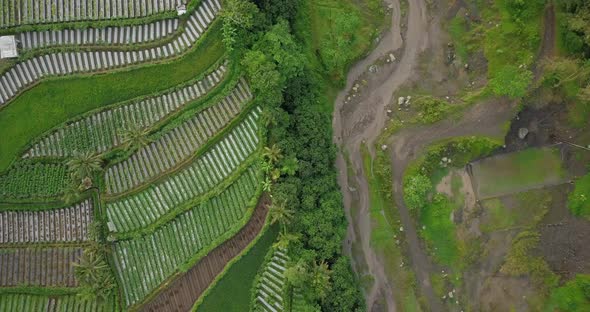 sandy river with waterfall and vegetable plantation on the side. aerial drone headshot of nature. Pa