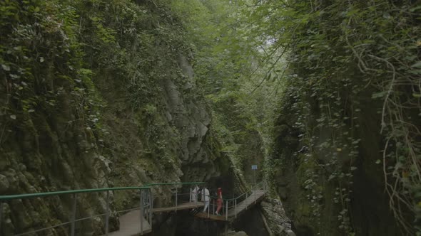 Hiking Trail in Rocky Jungle