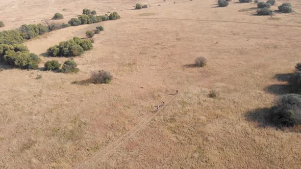 Aerial slow motion shot following mountain bikers during a race in day time.