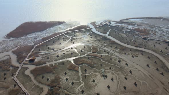 Aerial Wetland