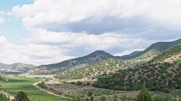 Timelapse of a Vineyard in the Mountains