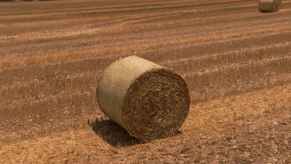 Round Hay bales scattered in a field, Aerial view.