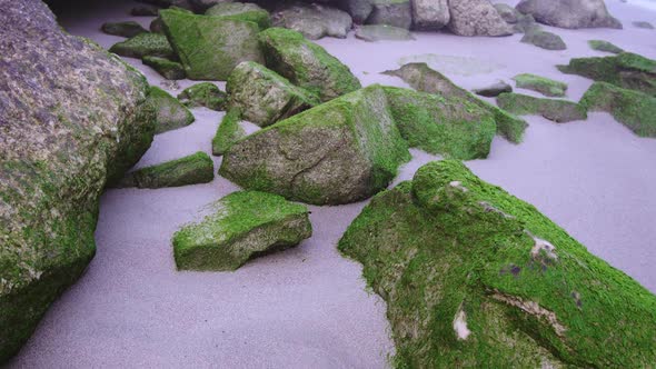Stones Covered By Green Mold on the Beach Sand