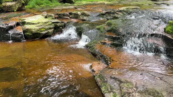 Slow moving woodland stream with water flowing gently over the rocks.