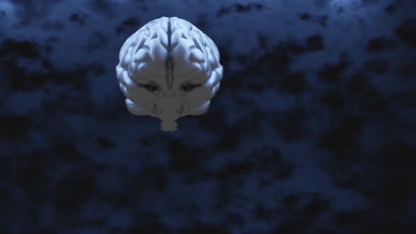 Human Brain 4k