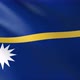 Flag of The Nauru - VideoHive Item for Sale