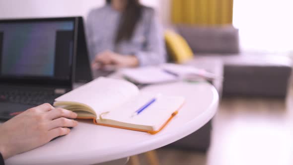 Motivated Young Women Sisters Working From Home Office Using Laptops