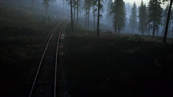 National Forest Recreation Area and the Fog with Railway