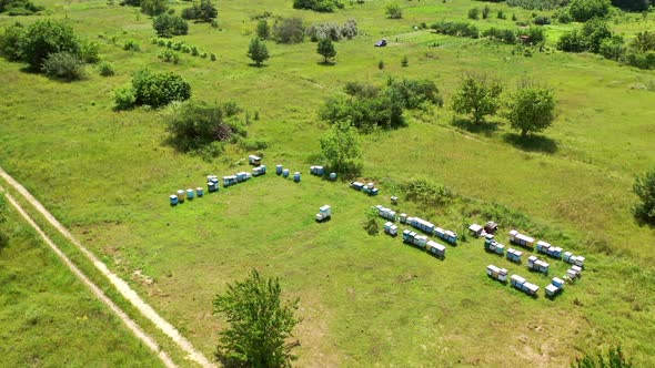 Aerial view of hives in apiary. Aerial drone view of apiary with wooden old beehives