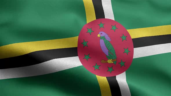 Dominica Flag Seamless Closeup Waving Animation