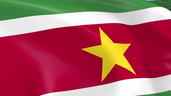 Suriname Flag