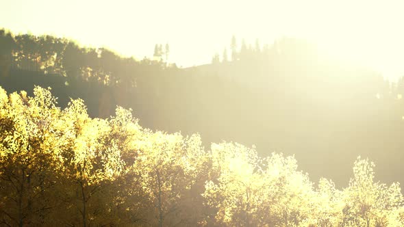 Valley with Autumn Trees Among the Mountains Lit By the Sun at Sunset