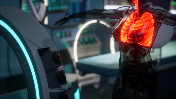 Human Lungs Radiology Exam in Laboratory alt