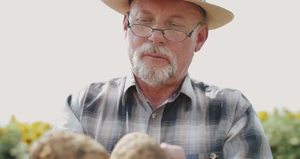 Happy Mature Farmer with Glasses in Hat Admires Good Potato Harvest in Hands