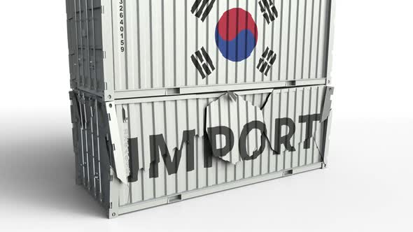 Container with Flag of South Korea Breaks Container with IMPORT Text alt