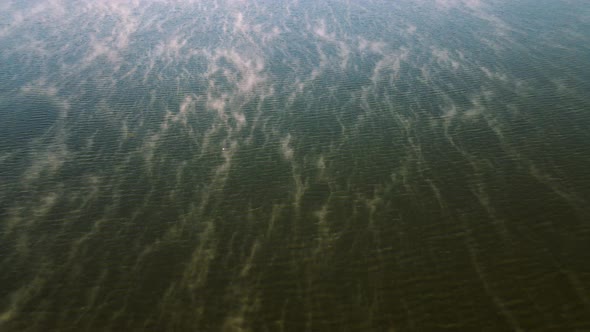 Closeup Morning Fog View Over the Lake Waters